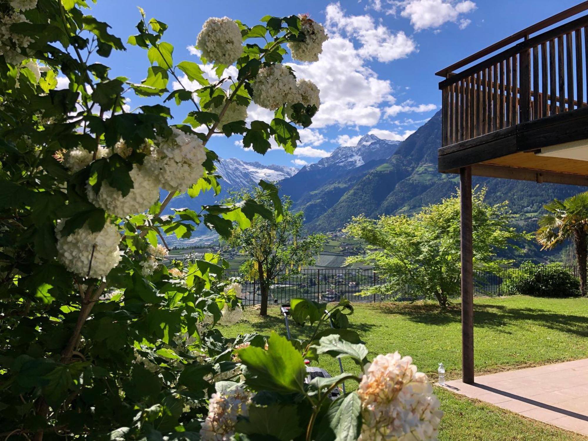 Aparthotel Der Blaue Reiter à Schenna Extérieur photo